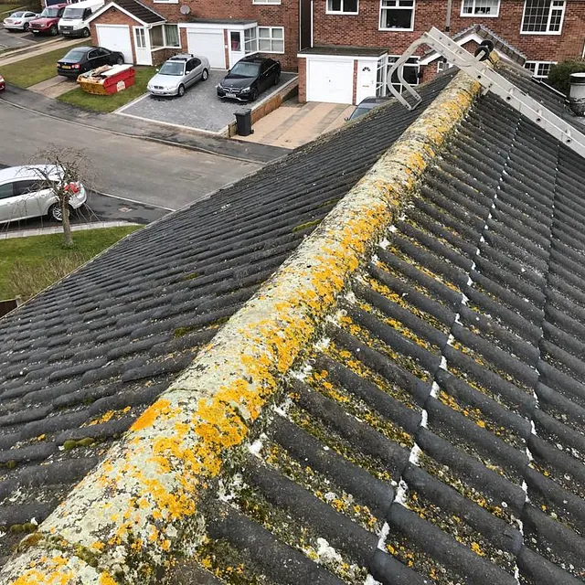 Ridge tile and gable end services