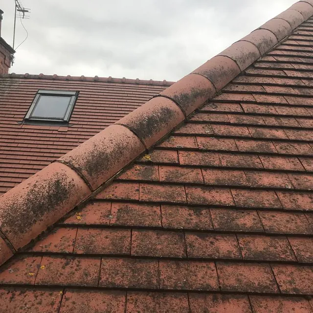 Ridge tile and gable end services